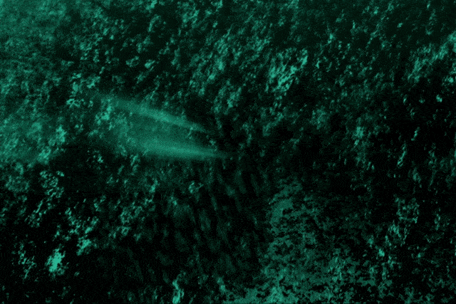 2022悬疑剧《心迷宫》杭州站演出介绍、购票网址