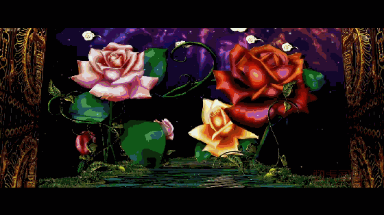 2022音乐剧《爱丽丝梦游仙境》合肥站购票链接+剧目介绍