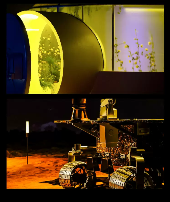 2022艺术展《漫无边界》成都站时间+地点+门票 2022艺术展《漫无边界》成都站时间+地点+门票