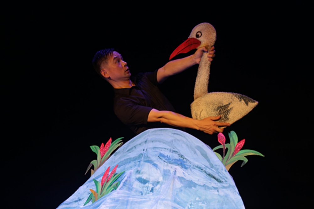 2022比利时&中国丨桌面布偶绘本剧《开跑车的小青蛙》-杭州站