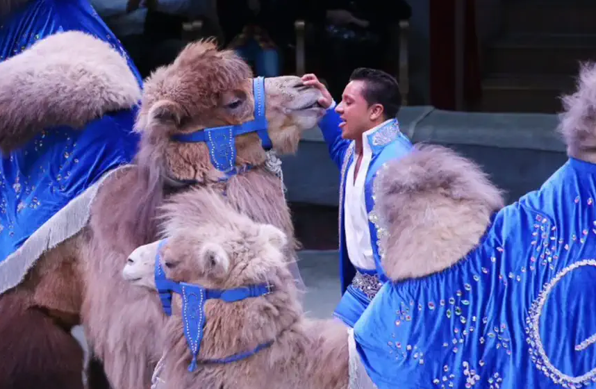 2023北京国际马戏小丑嘉年华时间、地点、票价 2023北京国际马戏小丑嘉年华时间、地点、票价