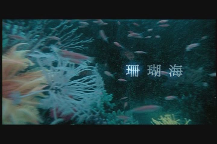 周杰伦专辑《十一月的萧邦》(周杰伦第六张专辑) 周杰伦专辑《十一月的萧邦》(周杰伦第六张专辑)