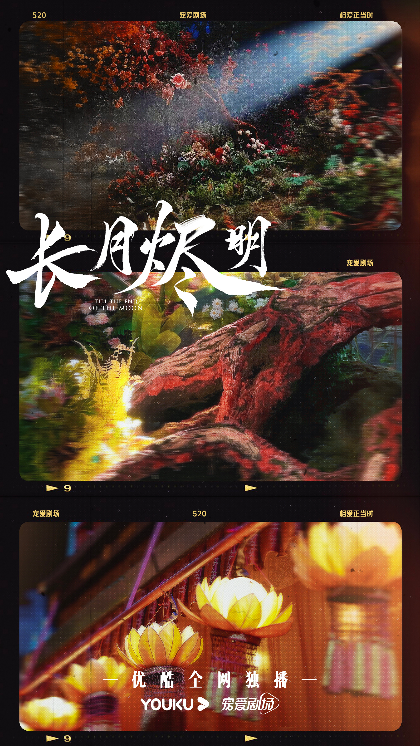 电视剧《长月烬明》什么时间播出? 电视剧《长月烬明》什么时间播出?