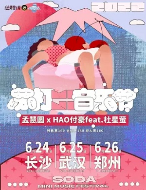 武汉苏打MINI音乐节