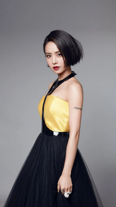 如何评价蔡依林专辑《舞娘》? 如何评价蔡依林专辑《舞娘》?