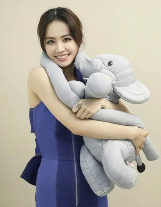 如何评价蔡依林的《玫瑰少年》? 如何评价蔡依林的《玫瑰少年》?