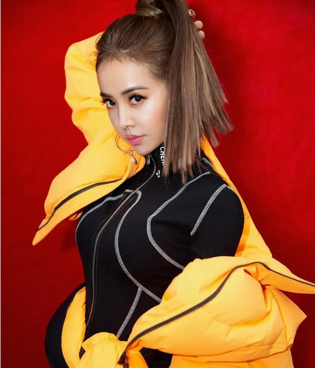 如何评价蔡依林？