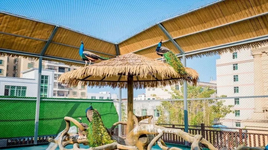 狮子城奇奇动物乐园