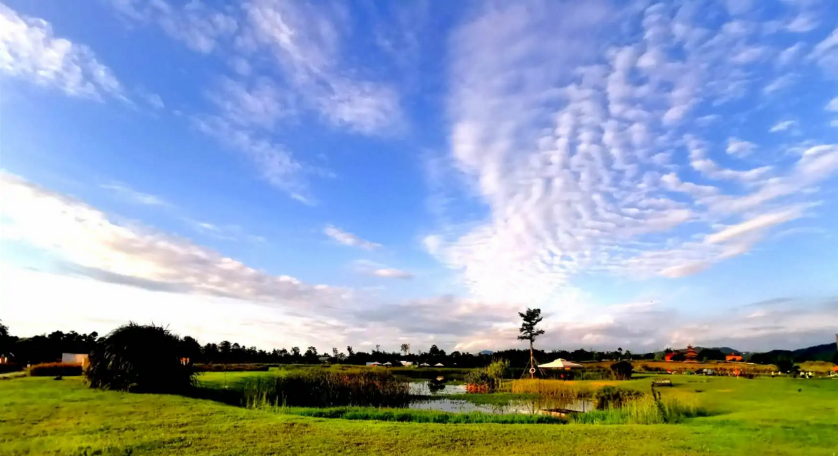 2022成都鲸音音乐嘉年华场馆+现场分布图 2022成都鲸音音乐嘉年华场馆+现场分布图