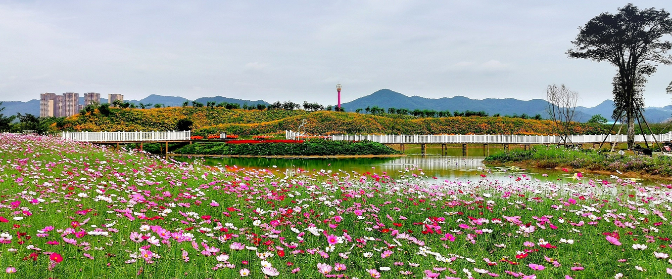 2022成都鲸音音乐嘉年华场馆+现场分布图 2022成都鲸音音乐嘉年华场馆+现场分布图