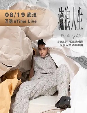 ICE武汉演唱会