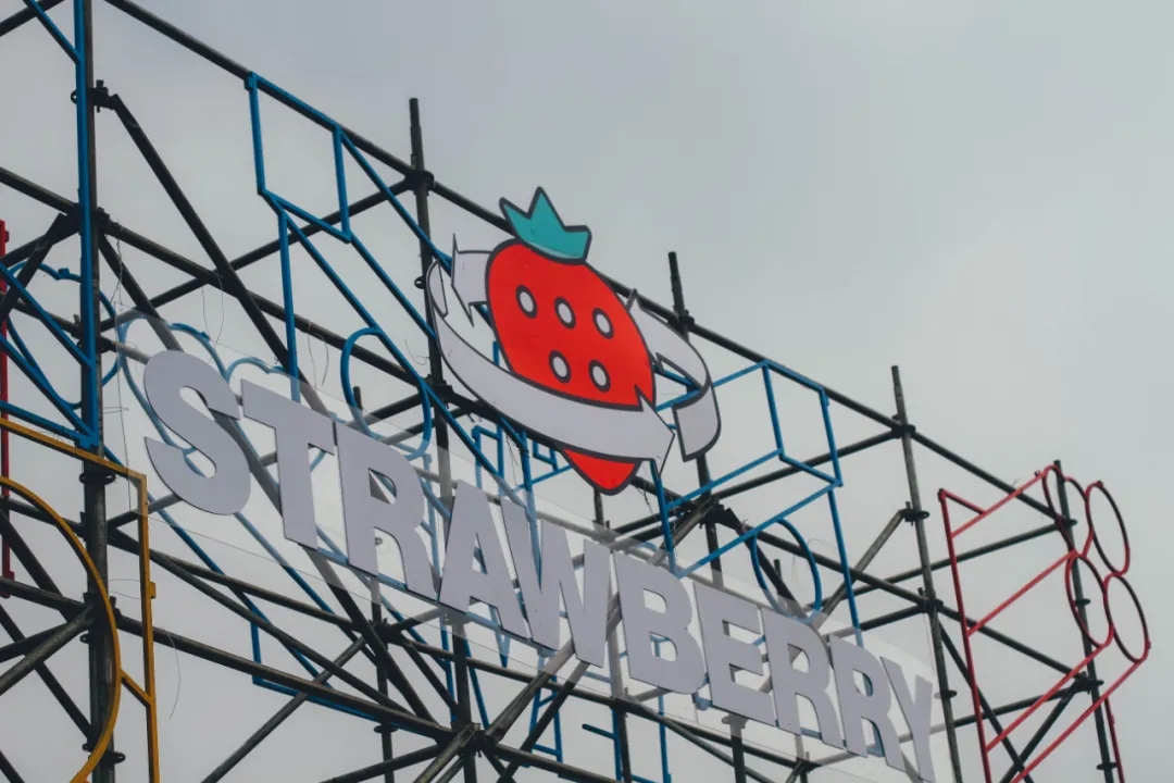 2023贵阳草莓音乐节阵容介绍、购票入口