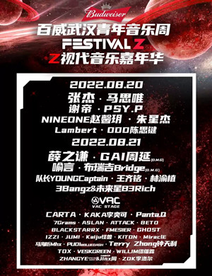 2025武汉Z视代音乐嘉年华