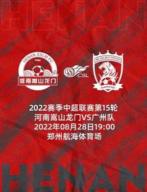 2025中超联赛第15轮郑州站