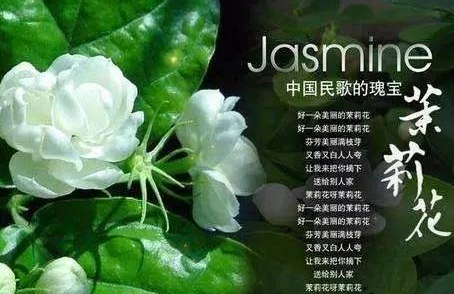 2022《New Age 国乐》新世纪民乐改编音乐会-深圳站 2022《New Age 国乐》新世纪民乐改编音乐会-深圳站