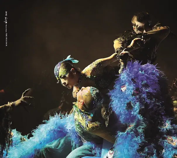 2022杨丽萍作品舞剧《孔雀》-烟台站 2022杨丽萍作品舞剧《孔雀》-烟台站