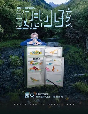 沙一汀西安演唱会