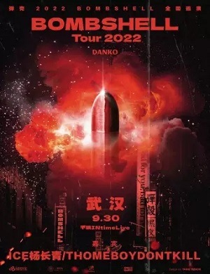 弹壳武汉演唱会