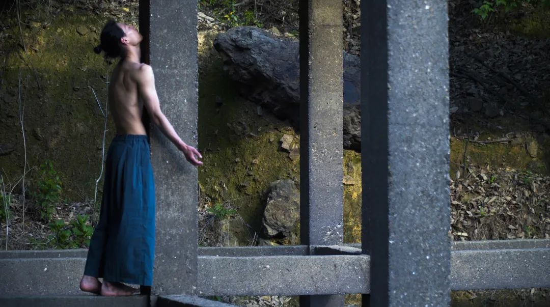 2023半山舞人新作《一步之遥》-郑州站