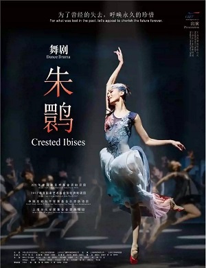 2025舞剧朱鹮深圳站