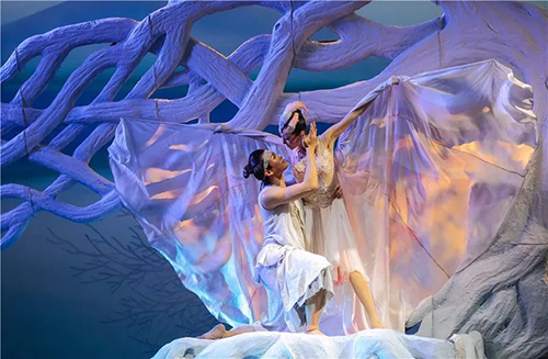 2022舞剧《朱鹮》-深圳站