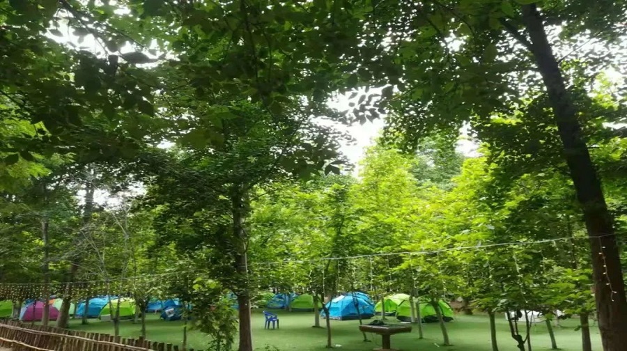 大自然园艺-欢乐林庄