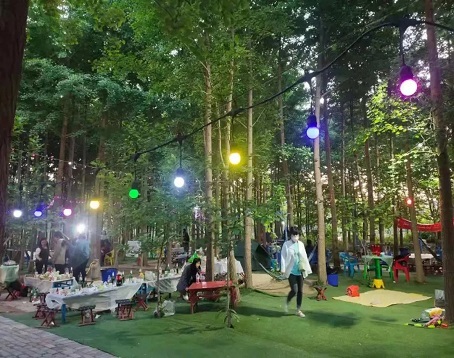 大自然园艺-欢乐林庄