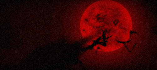 2022YOULO万圣电音节-福州站