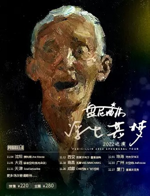 盘尼西林乐队西安演唱会