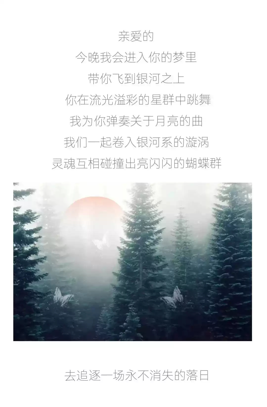 2022传送枪呈现｜黄鲲巡演 嘉宾：沈以诚，大布偶-杭州站