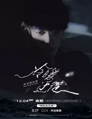 赵珂合肥演唱会