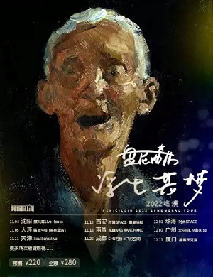 盘尼西林乐队西安演唱会