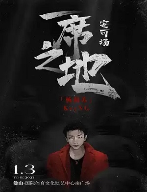 杨和苏佛山演唱会