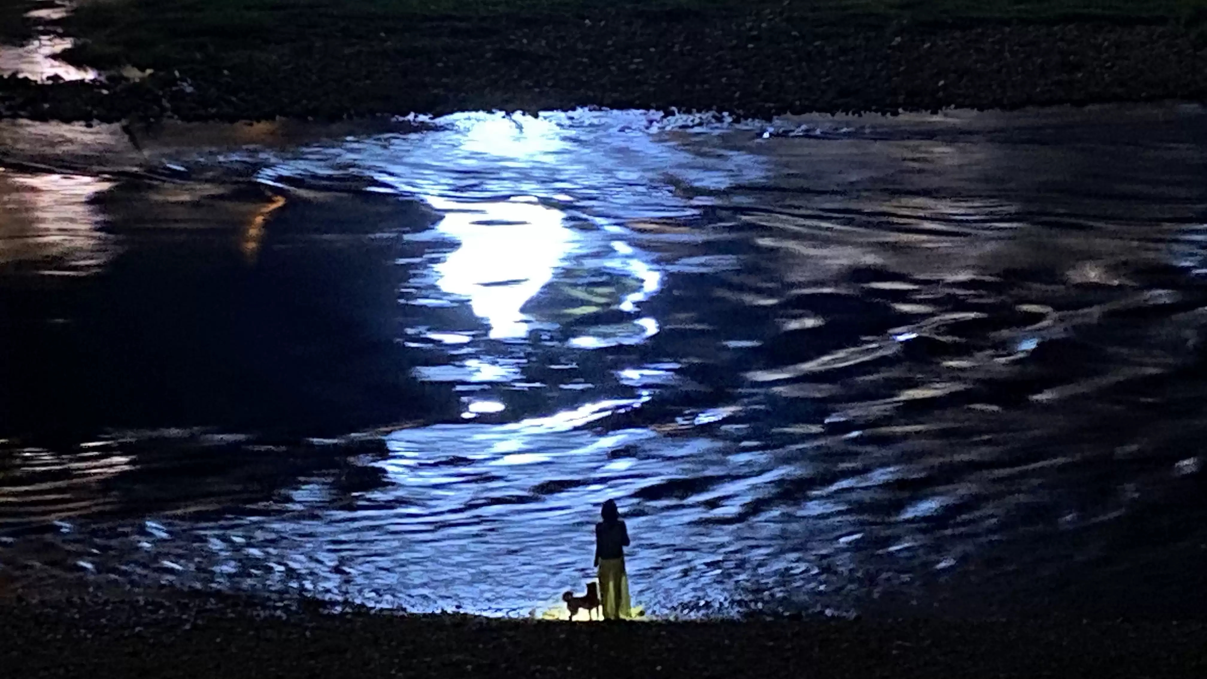 2023陈粒的悠长假期巡回演唱会-合肥站 2023陈粒的悠长假期巡回演唱会-合肥站