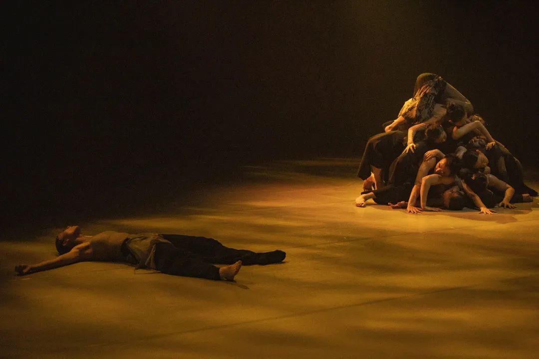 2023现代舞《宿》郑州站时间、地点、门票价格