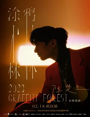 陈楚生武汉演唱会