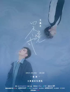 王晨艺杭州演唱会
