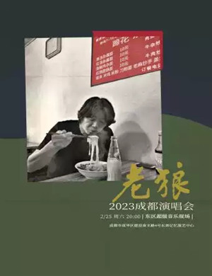 老狼成都演唱会