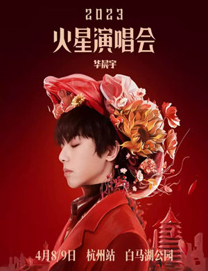 2025华晨宇杭州演唱会