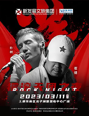 朴树&崔健郑州摇滚天团之夜