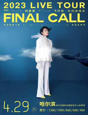 刘若英哈尔滨演唱会