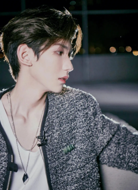 2023王源上海演唱会门票价格、售票时间、订票网址