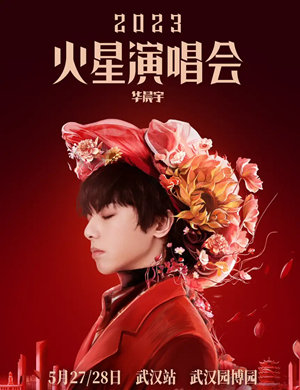 华晨宇武汉演唱会