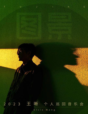 2025王晰郑州演唱会