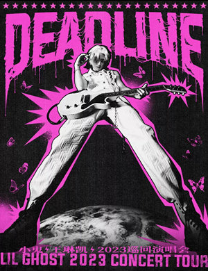 小鬼王琳凯西安演唱会