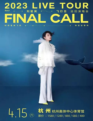 刘若英杭州演唱会