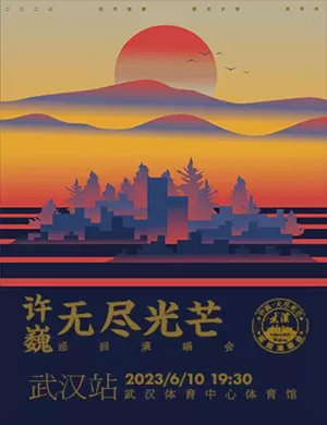 2025许巍武汉演唱会