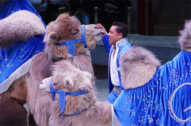 2023【早鸟套票】快乐六一·超级马戏-国际马戏小丑嘉年华-天津站