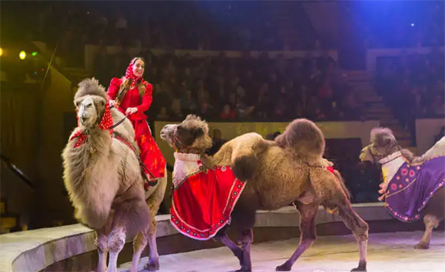 2023【早鸟套票】快乐六一·超级马戏-国际马戏小丑嘉年华-天津站