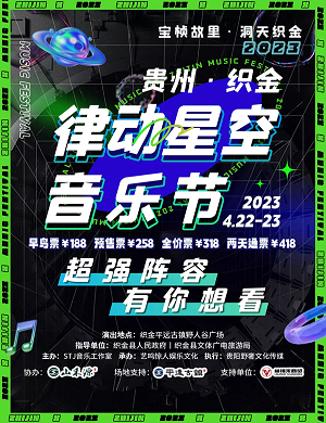 毕节律动星空音乐节
